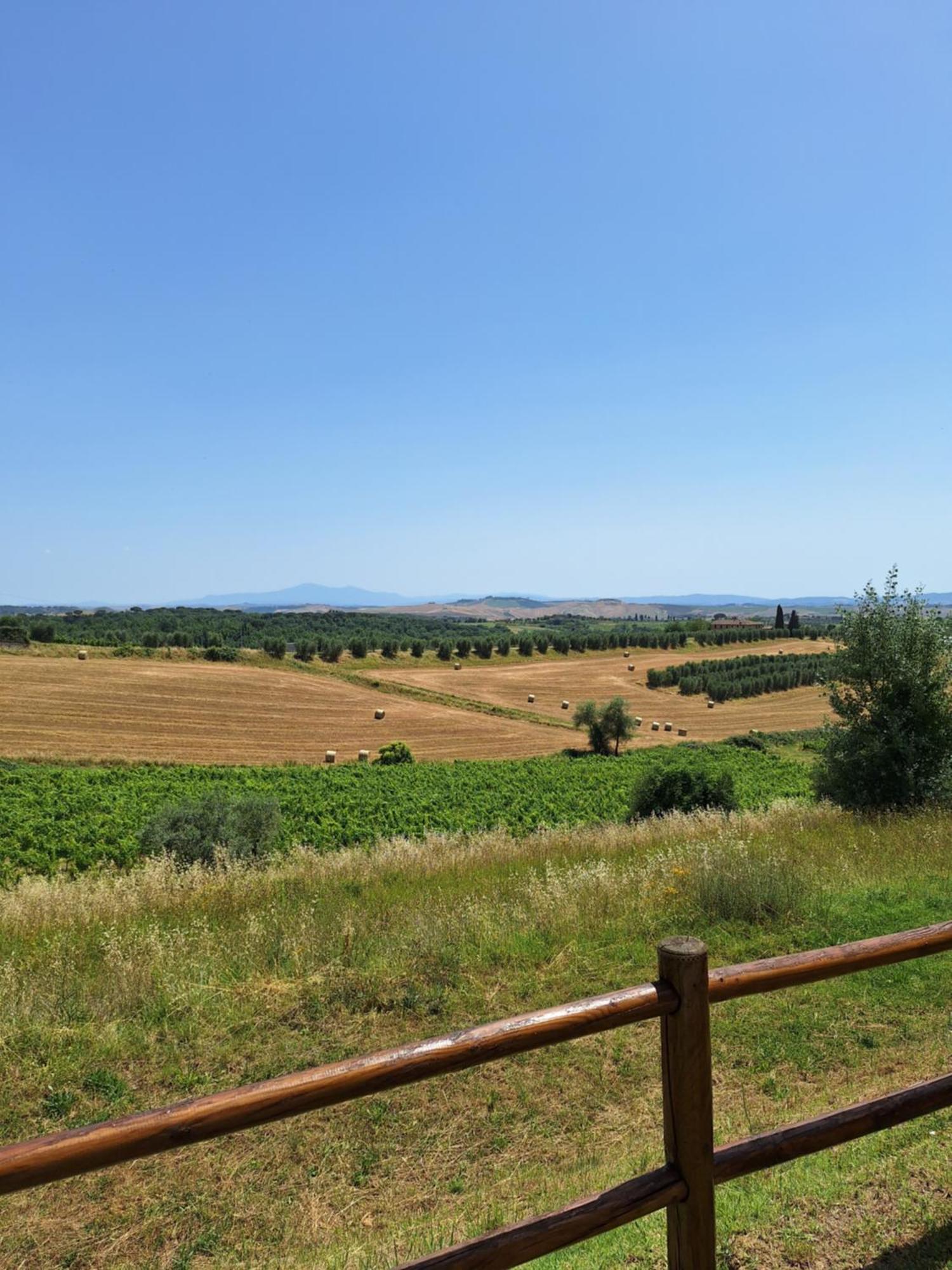 Casa Paola Nel Chianti Panzió Castelnuovo Berardenga Kültér fotó